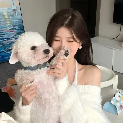 【职场神剧】《卖房子的女人 / 房仲女王》北川景子：没有我卖不出去的房子！热血房产中介的卖房哲学